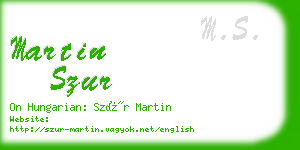 martin szur business card